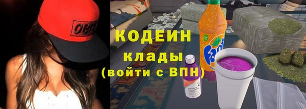 тгк Гусев