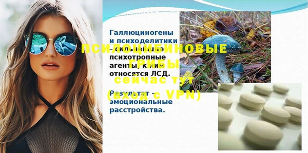 не бодяженный Гусиноозёрск