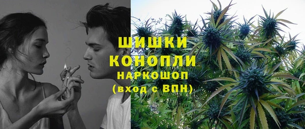 тгк Гусев