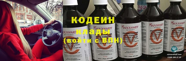 тгк Гусев