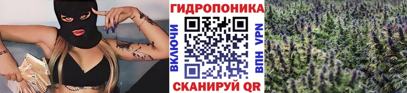 Конопля индика  Дмитровск 